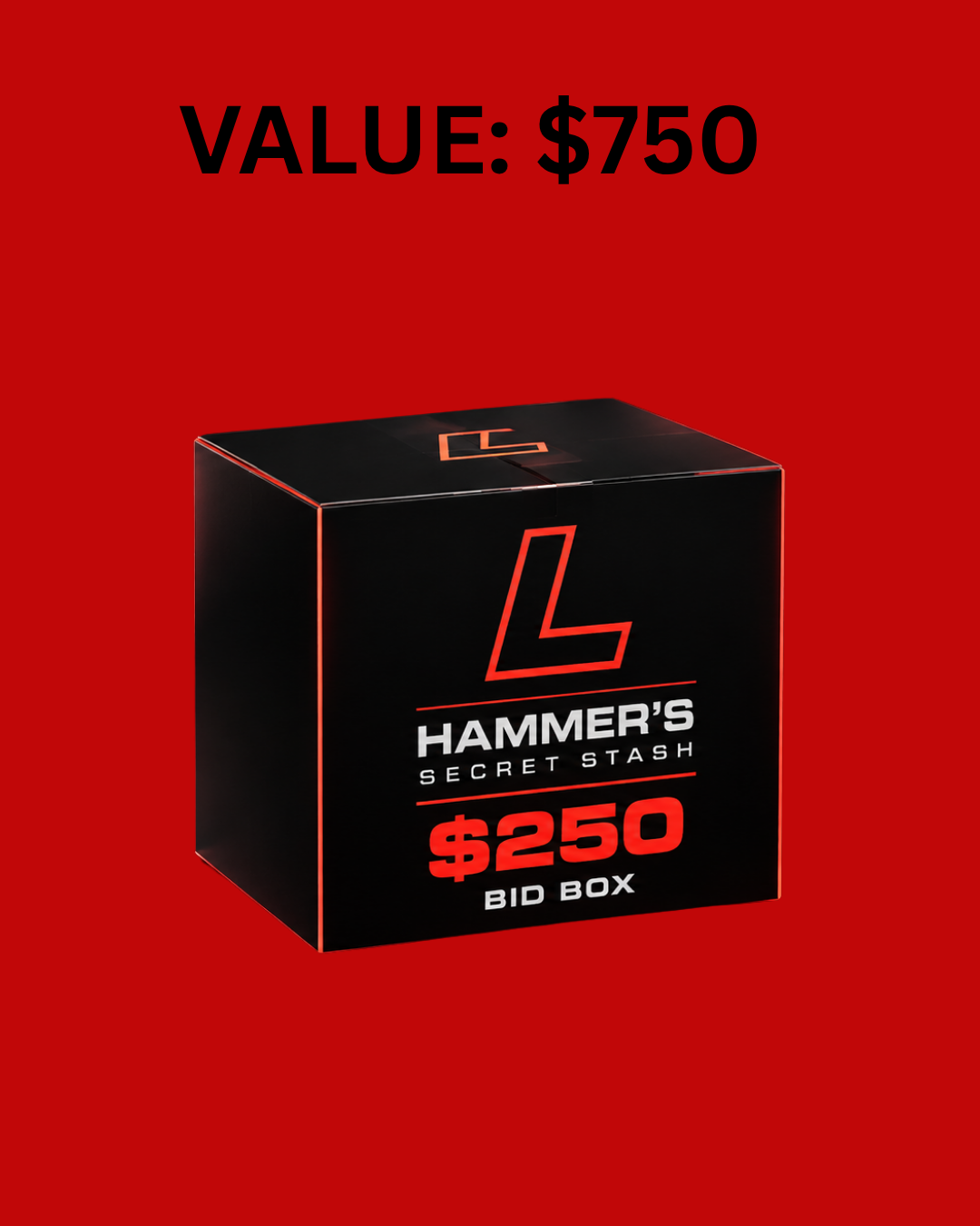 $250 HAMMERS SECRET STASH BOX