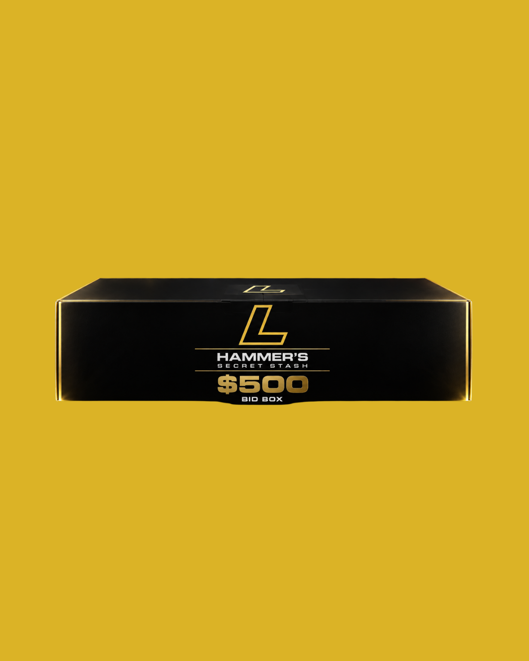 $500 HAMMERS SECRET STASH BOX