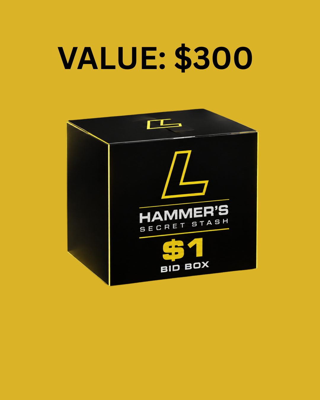 1$ HAMMERS SECRET STASH BOX