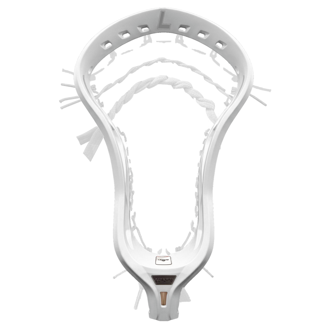 WYN Head Customizer